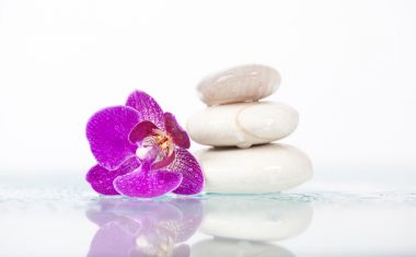 苏州上门SPA，让你拥有健康身体